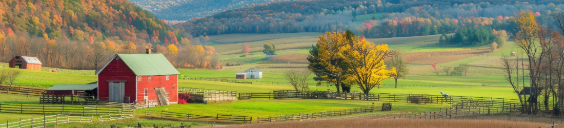 Barn in forested valley